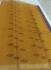 COIMBATORE KORA COTTON SAREE 620 MTS